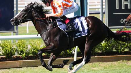 Genzano winning the Newcastle Spring Stakes last November. Picture by Peter Lorimer