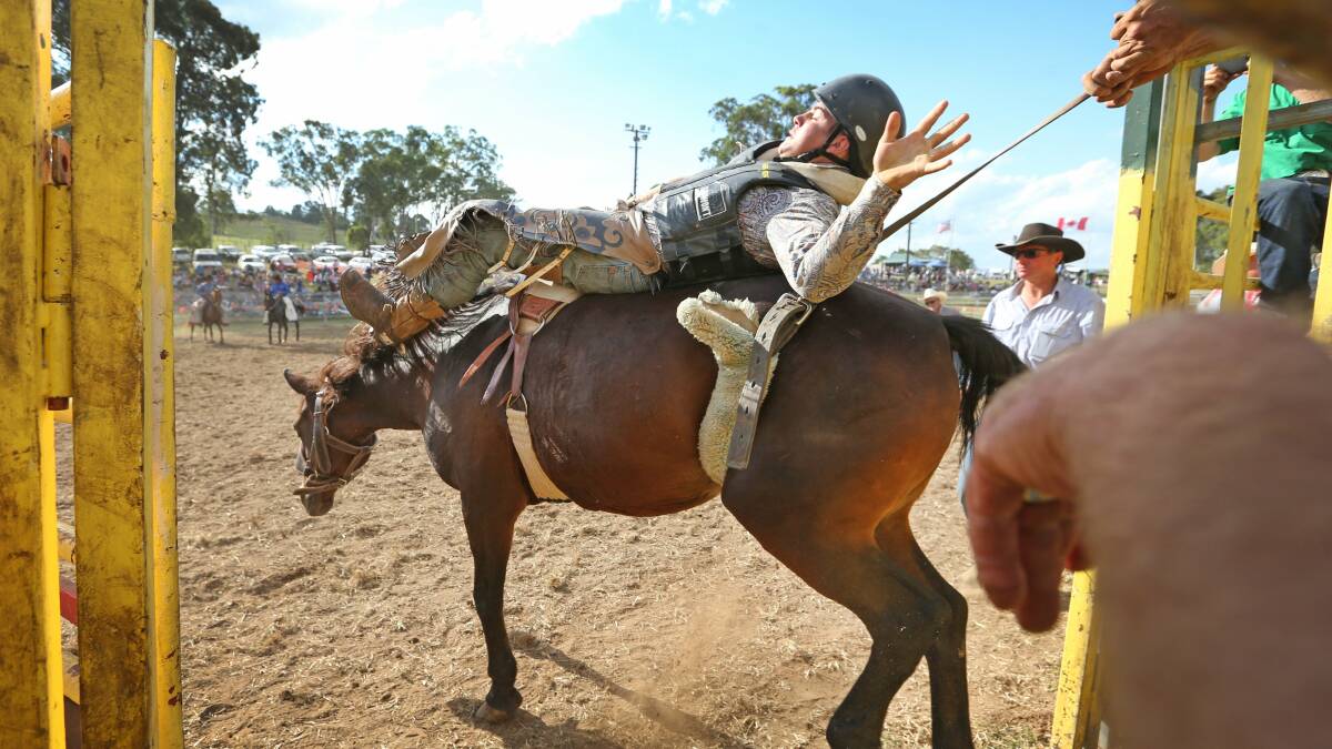 Wild ride: Action from last year's Dungog Rodeo. Picture: Marina Neil