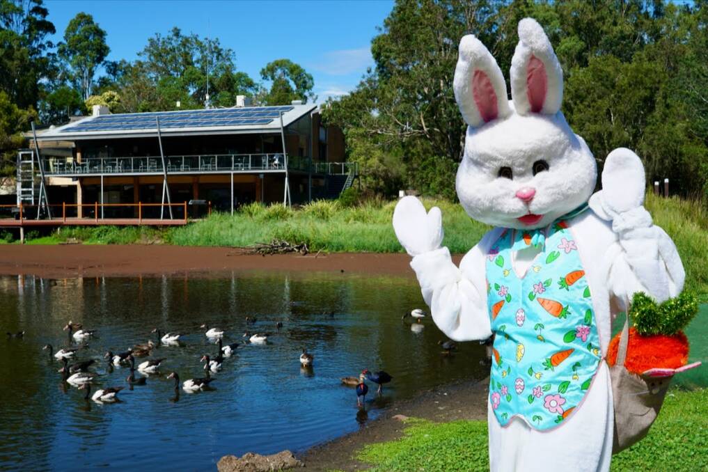 Head to Hunter Wetlands Centre on Saturday for some Easter fun. Picture supplied
