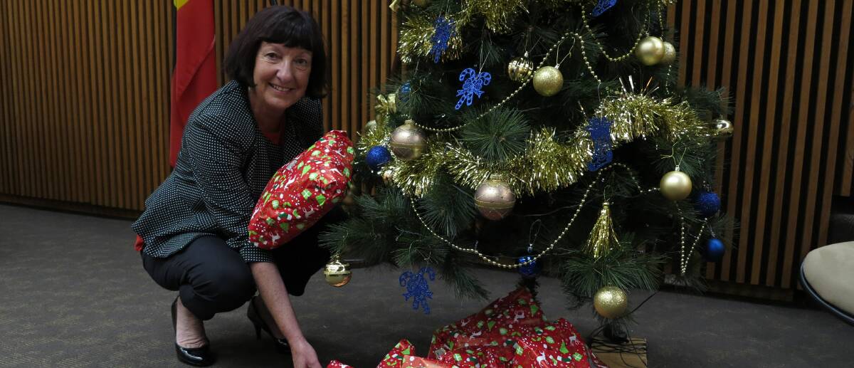 GIVING: Lake Macquarie City Council has again teamed with the Samaritans to conduct the Mayor’s Christmas Appeal.