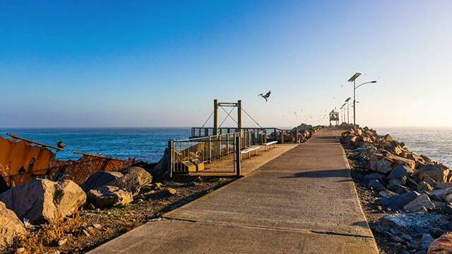 MORNING SHOT: INSTA @Newy: @tmackey87 #bestof series number 7; #pelican landing at #stocktonbreakwall #newcastlensw This shot was 1 panel out of a 32 panel panorama. Didn't see the awesome landing pelican until i was stitching the panorama at home. #ocean🌊 #actionshots #accidentalart