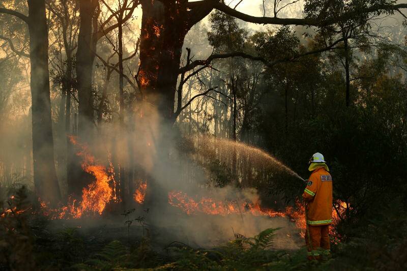 DELIBERATE: The Abermain bushfire, which tore through 800 hectares last month, was the work of an arsonist. Picture: Marina Neil.