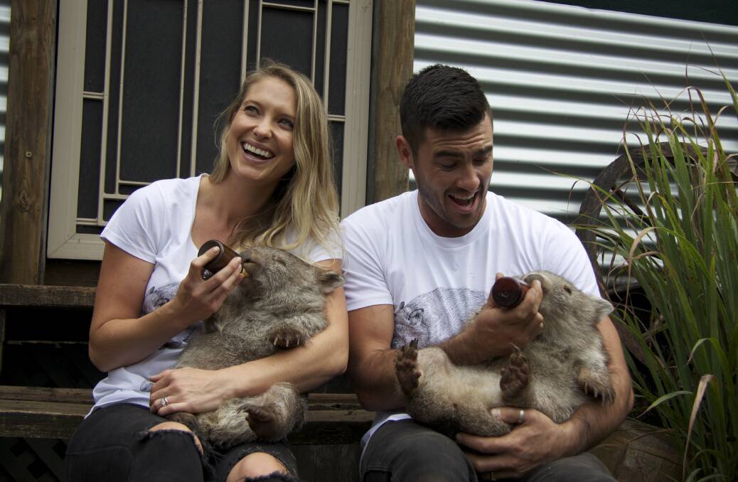 GONE WOMBATTY: Karston and Max cuddle wombats at Cedar Creek Wombat Rescue and Sanctuary. The sanctuary will receive a donation for each t-shirt sold. 