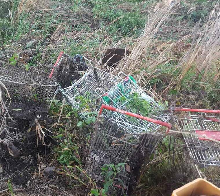 MESS: Piles of shopping trolleys clog Scrubby Creek and have been the focus of a Lake Macquarie City Council clean-up program.