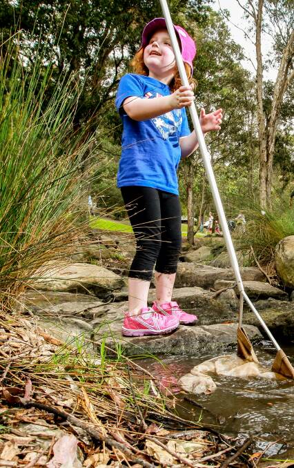 JUNIOR RANGERS: Blackbutt Reserve has many options to entertain the family during the school holidays, including Junior Ranger Days. Picture: Ryan Osland