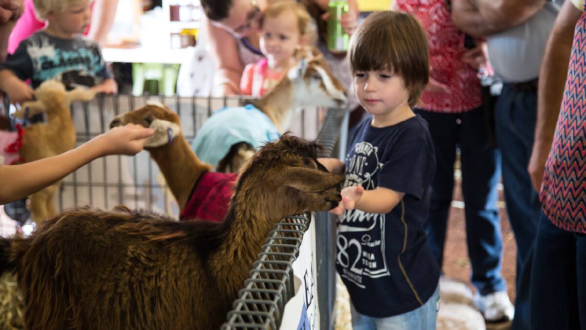 PETTING ZOO: The Show has plenty to keep the kids entertained, including an animal nursery where they can get up close and personal with a variety of livestock. 