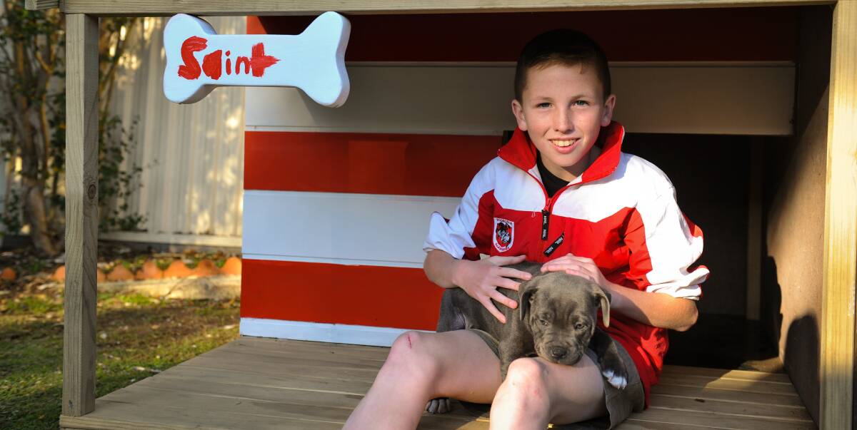 REWARDING WORK: Central Coast 12-year-old Preston Williams, who has been diagnosed with cystic fibrosis, wished for a blue Staffy puppy to play with. 