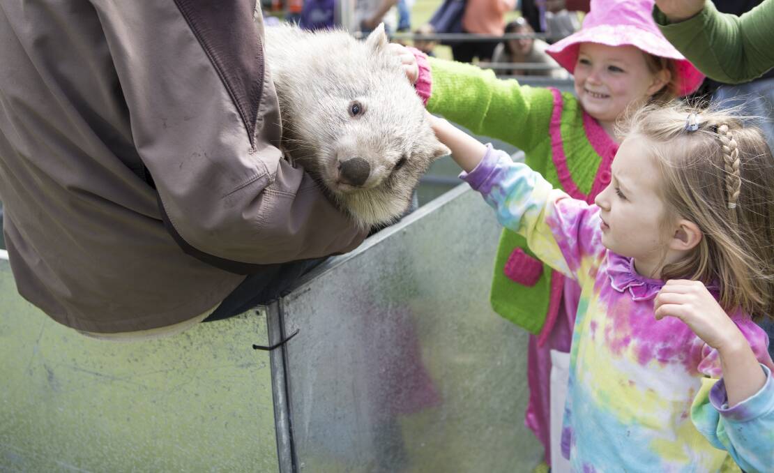 ANIMAL ENCOUNTERS: Kids can get up close and personal with some cute and cuddly creatures at the petting zoo.
