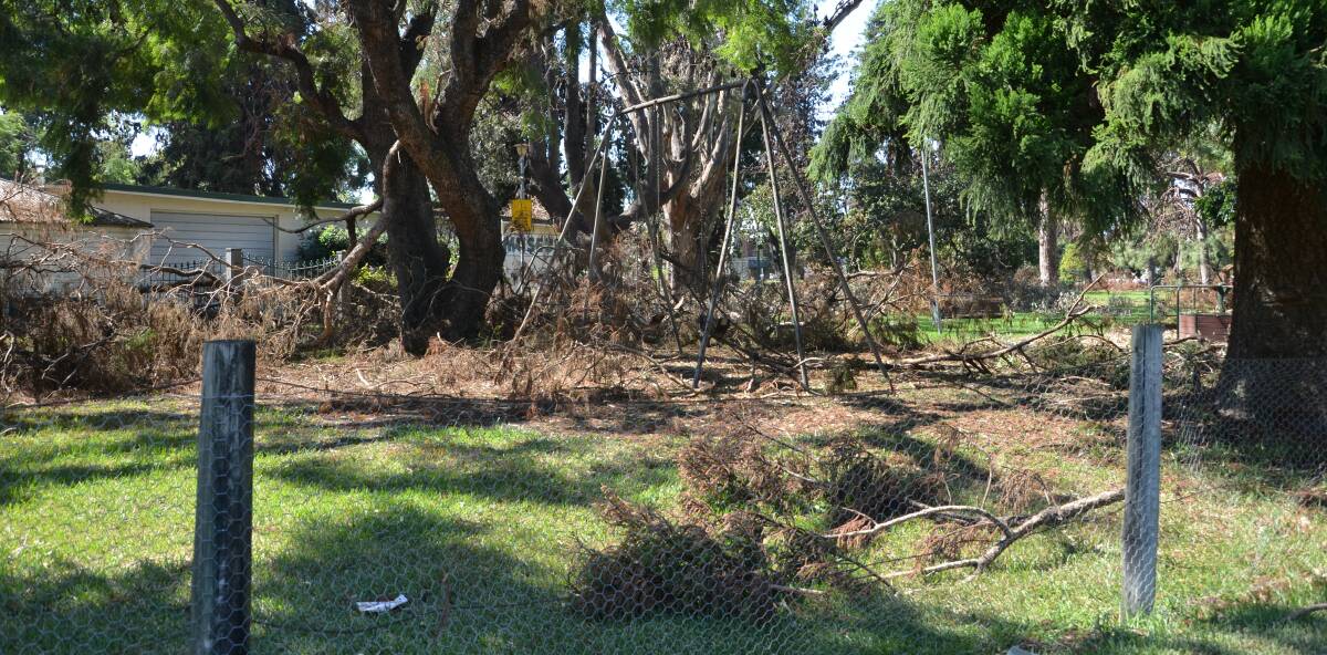 OFF LIMITS:  Burdekin Park is now strewn with overloaded branches that have crashed to the ground and thousands of bats are still in the park.
