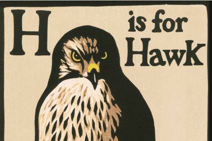 H Is for Hawk by Helen Macdonald.