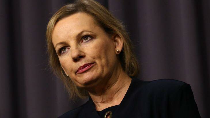 Health Minister Sussan Ley says the government is working towards a "mutually satisfactory outcome" over a funding dispute with the Pharmacy Guild. Photo: Andrew Meares