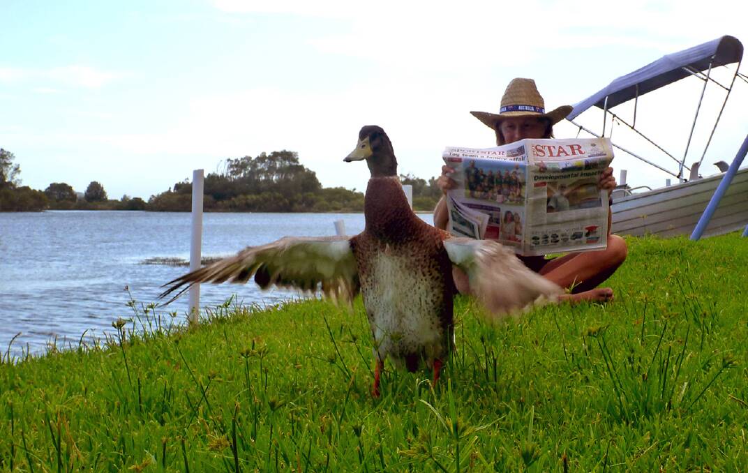 PHONE 1900 915 332: To vote for Suzanne Clark, of Marks Point, photo of The Star at 
Swan Bay, Lake Macquarie.