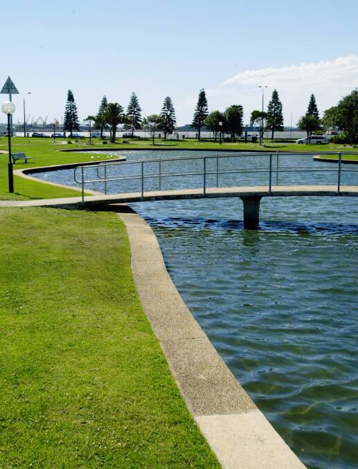 Frog pond  in Foreshore Park.