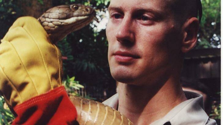 Dr Bryan Fry holds a king cobra. Young king cobras are often prey to the blue coral snake. Photo: Bryan Fry