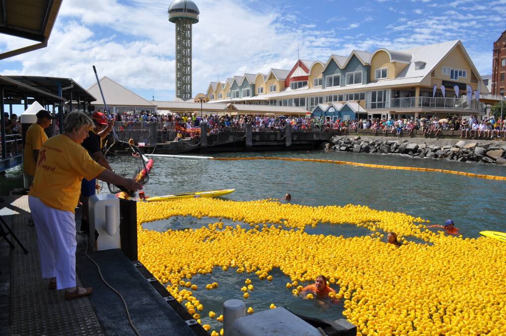YELLOW SEA: The Ducks 4 Dollars fund-raiser at Queens Wharf Brewery on Australia Day in 2014.