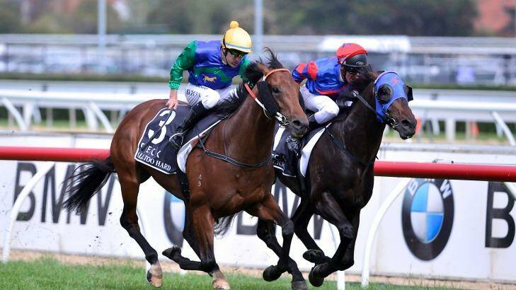 Still competing: All Too Hard (left) outguns Pierro to take the Caulfield Guineas in 2012. Photo: Pat Scala