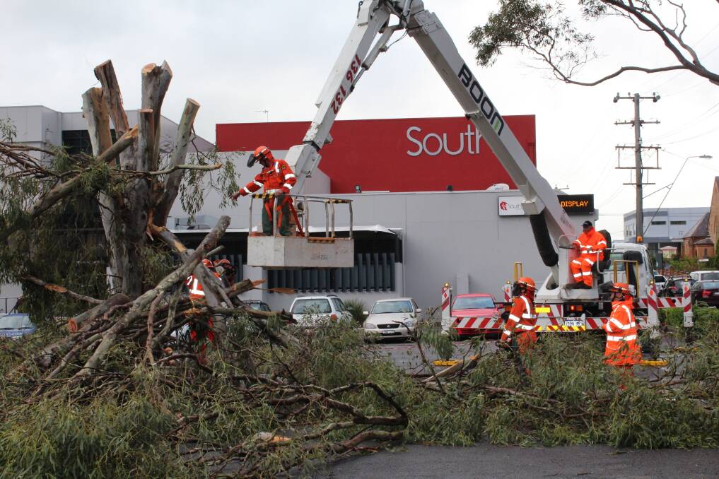 An SES volunteer crew from Barraba, NSW, cut down a tree in the car park of Souths Merewether.