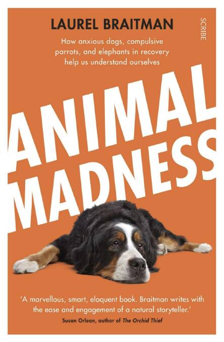 US researcer Laurel Braitman's book on animal mental health, <i>Animal Madness</i>, comes out in Australia on September 29.