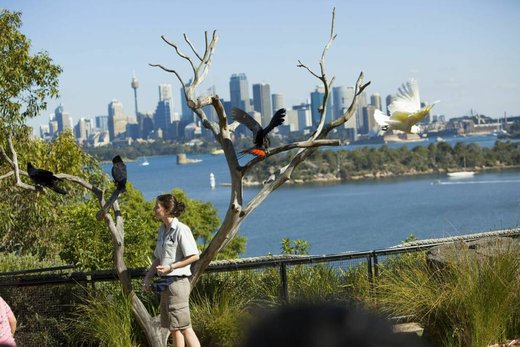 IN THE FRAME: Prizes up for grabs are a weekend away, Taronga Zoo passes, and movie tickets.