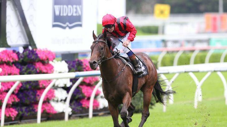 Unbeaten: Hallowed Crown scores during The Championships at Randwick in April. Photo: Anthony Johnson