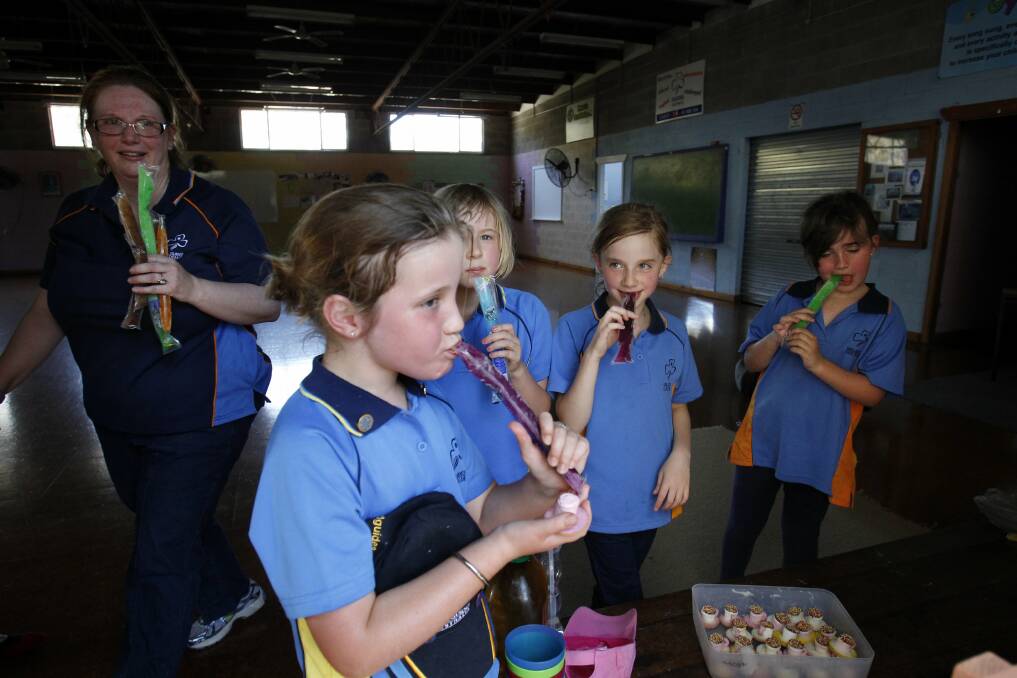 COOL: Warners Bay Girl Guides junior leader Susan Moen hands out ice blocks to Abbie Harland, Grace Thornton, Rosie Moen, and Aimee Gollop after a day in the sun.
