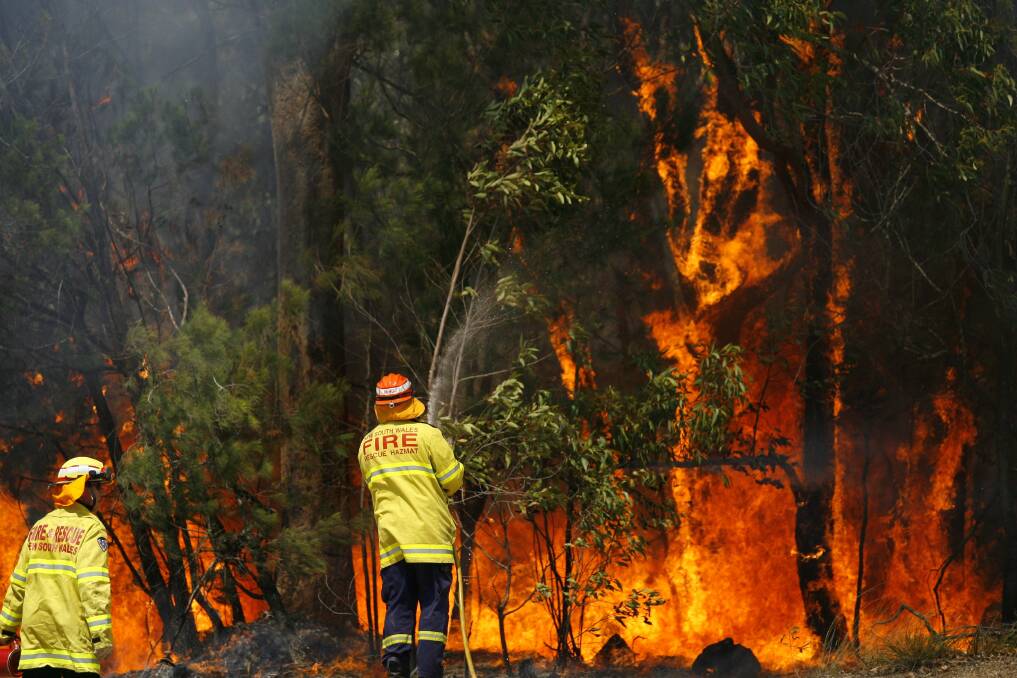 Fire and Rescue NSW firefighters conduct a hazard reduction.