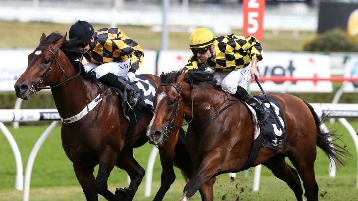One-two: Tye Angland (right) boots Scissor Kick home ahead of stablemate Panzer Division in the Up and Coming Stakes. Photo: Anthony Johnson/Getty Images