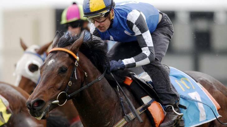It all starts now: Protectionist will start spring carnival preparations on Saturday. Photo: Darren Pateman