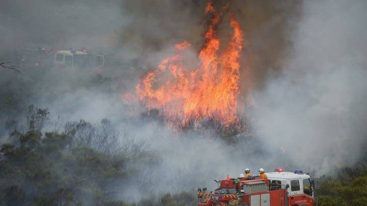 Firefighters tackle an out-of-control bushfire near Bathurst on Tuesday. Photo: Nick Moir