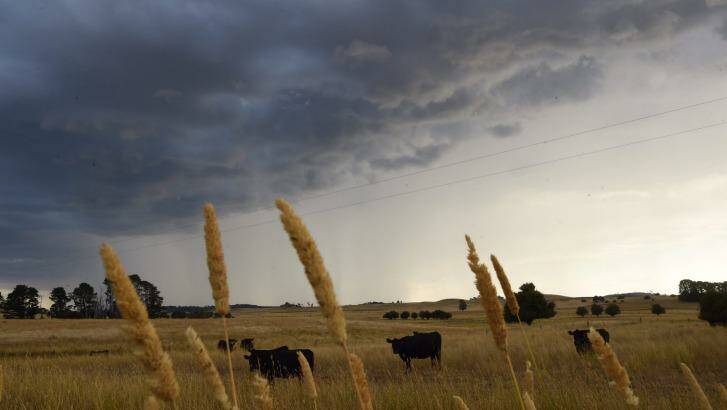 A picturesque morning in Gowan, near Orange, on Wednesday morning.  Photo: Nick Moir