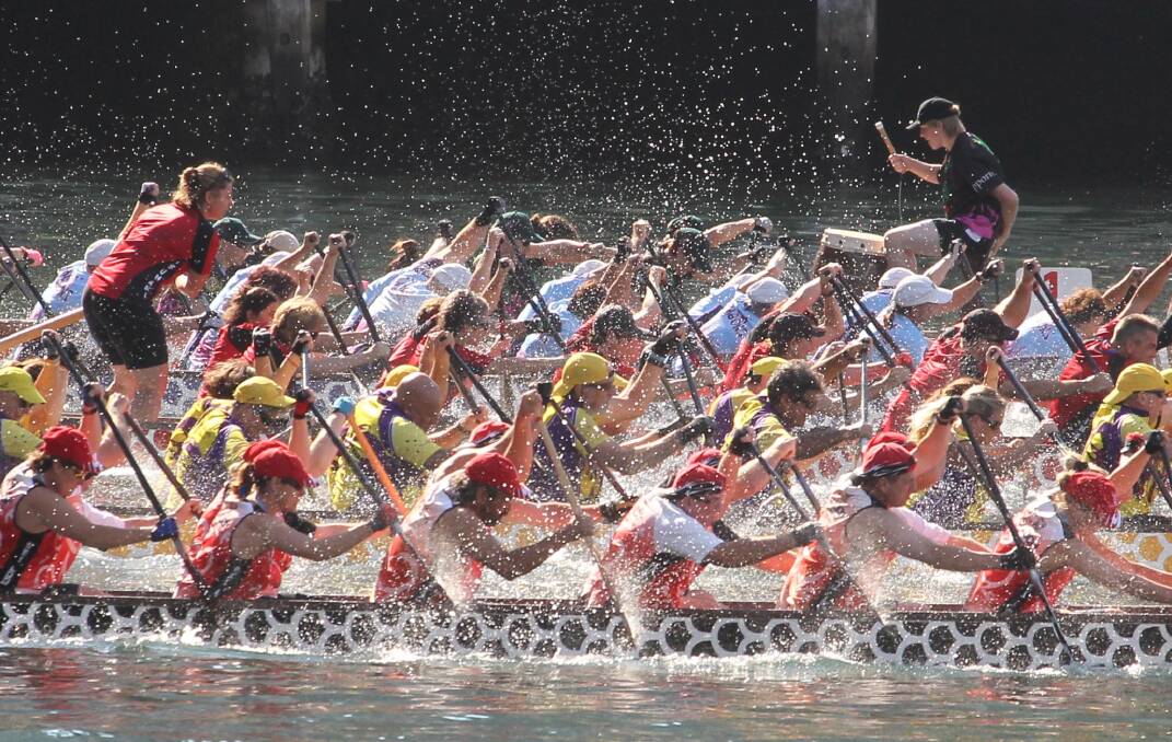 A Dragon Boat race at Darling Harbour.