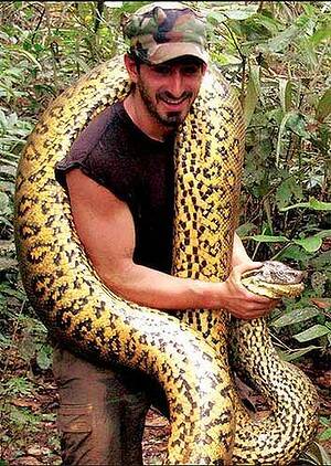 Film-maker Paul Rosolie will be eaten by an anaconda for a wildlife documentary. Photo: northjersey.com