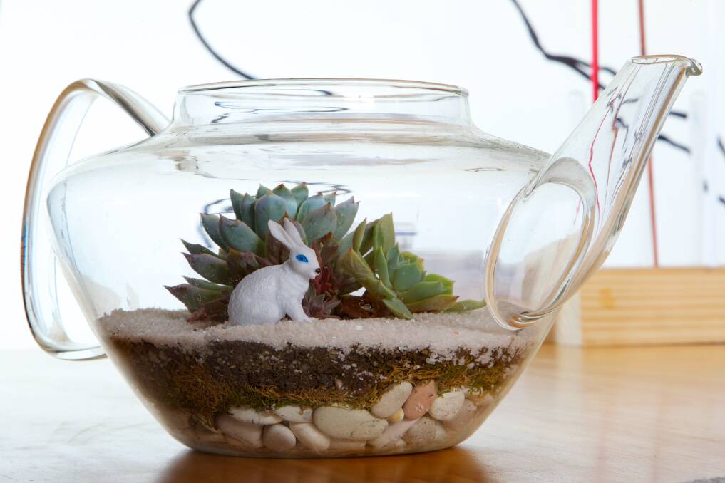OUTSIDE IN: An example of a mini terrarium that can bring the outside into your office.