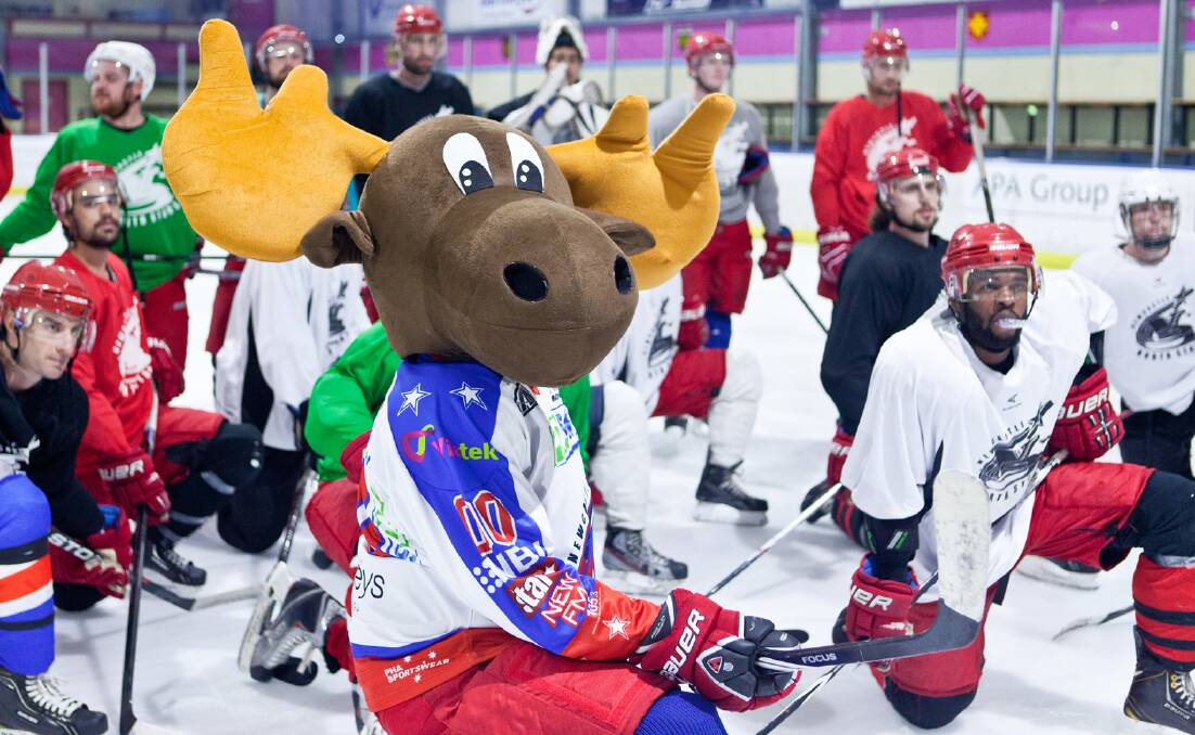 Newcastle North Stars in training, with an appearance from the team's new mascot, Marty Moose. Picture: Mark Bradford.