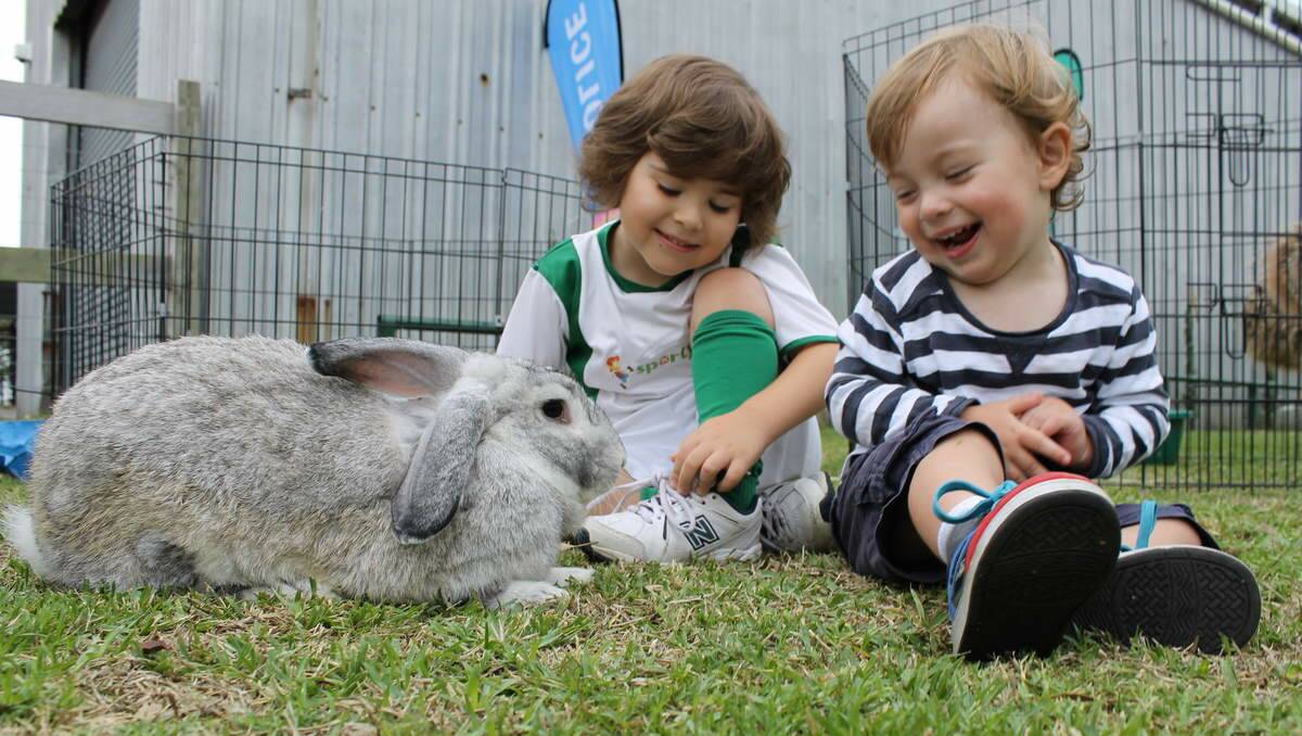 CLOSE ENCOUNTER: Jarrah Brown, 4, of Argenton, with his brother, Ashton, 2, at the Newcastle Show launch.