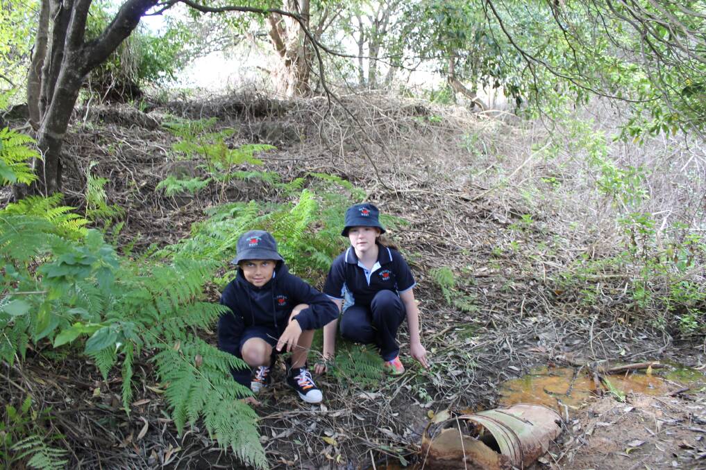 Waratah West Public School students lead crusade to clean up Koba Creek