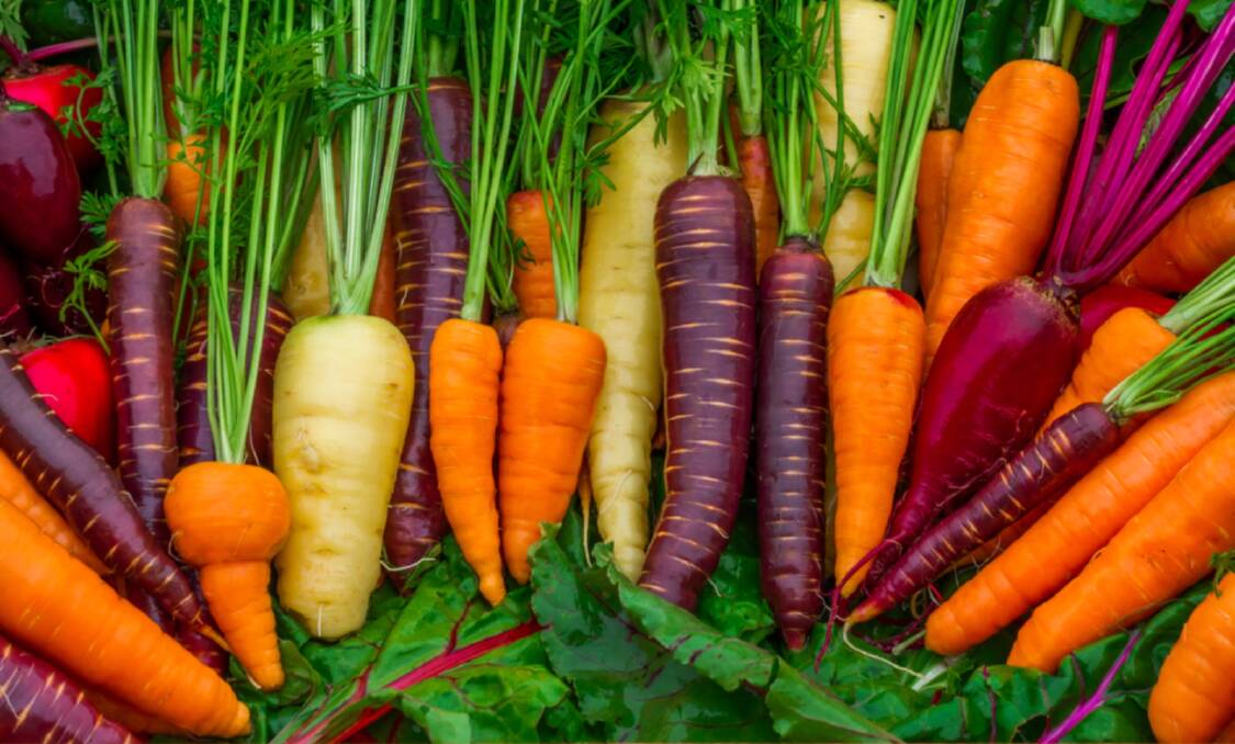 10 tips to perfect your autumn vegetable patch