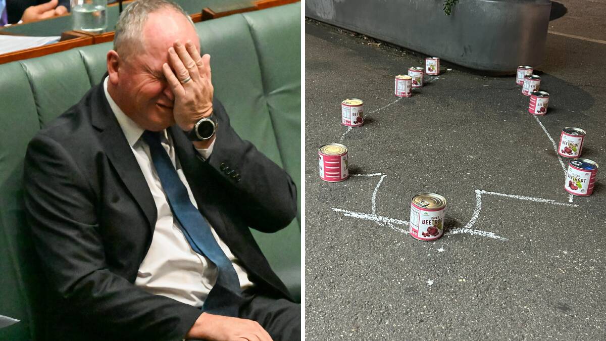 Cans of beetroot were placed at the Barnaby Joyce chalk drawing in Braddon. Pictures by Elesa Kurtz, Natalie Vikhrov