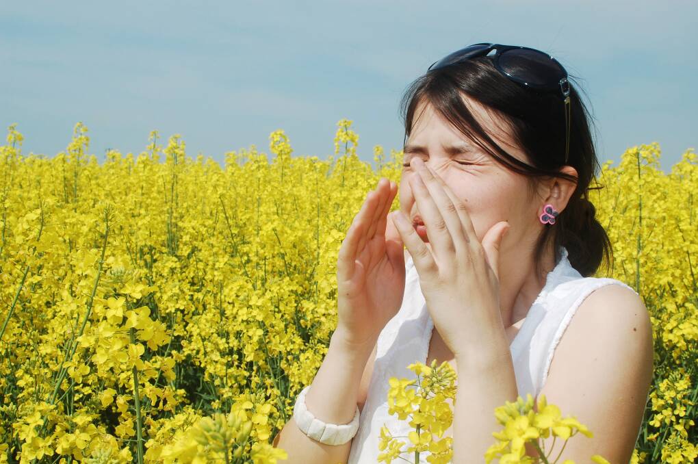 SEEK SOLUTIONS: There are many ways to self care and protect against allergic rhinitis and your pharmacist and doctor are available with advice and great treatment options.
