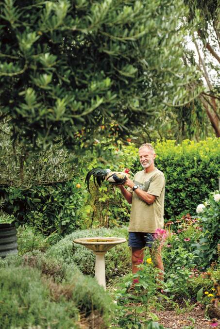 Horticulturalist and poultry breeder Ian Nash with his Phoenix rooster. Picture: Ilana Rose
