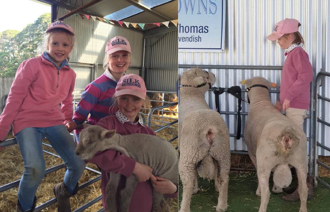 Imogen Thomas, 12, Lexi Thomas, 9 and Emma Thomas, 6, organised a virtual sheep show after their favourite agricultural shows were cancelled due to COVID-19. 