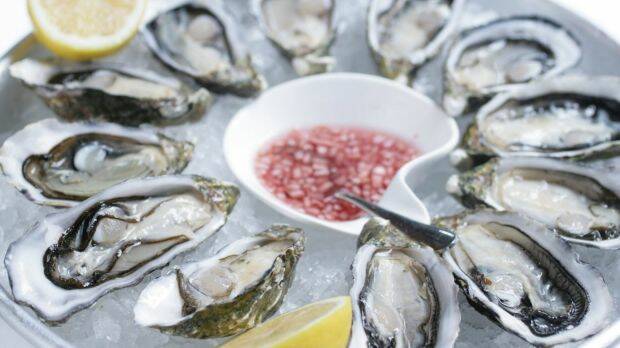 One dozen (eye-less) oysters. Photo: Rebecca Hallas

