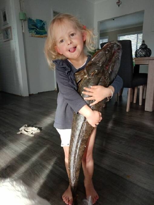 WHAT A CRACKER: Ivy Quinlan, 2, is dwarfed by her first flathead of over 85cm.