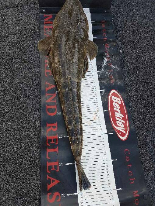 MEASURES UP: Craig Walkom’s 90cm flathead. Caught and released at Lake Macquarie last weekend.