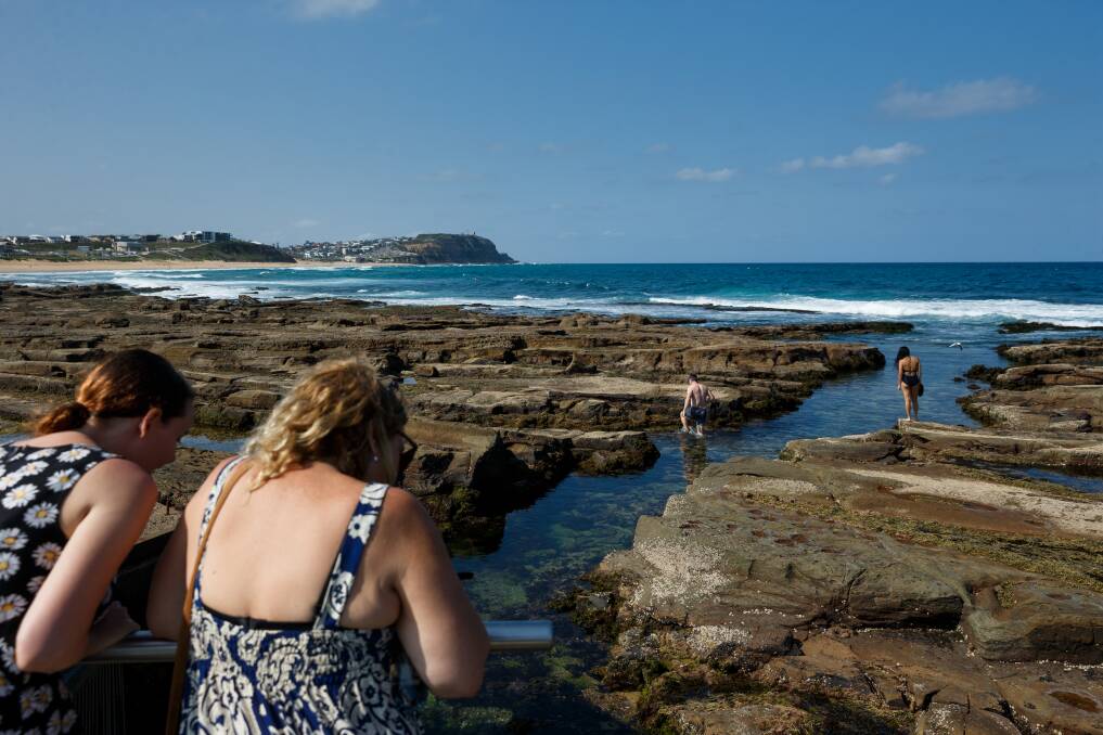 CHECK OUT THE ROCKPOOLS: The City of Newcastle is offering free activities for families, including guided walking and rockpool tours.