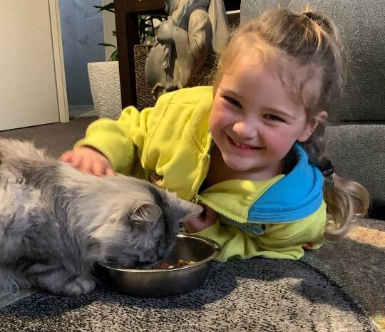 Carol Ingram-Taylor's granddaughter Macie Clark was so happy to have Tank back home after he we went missing during the January bushfires.