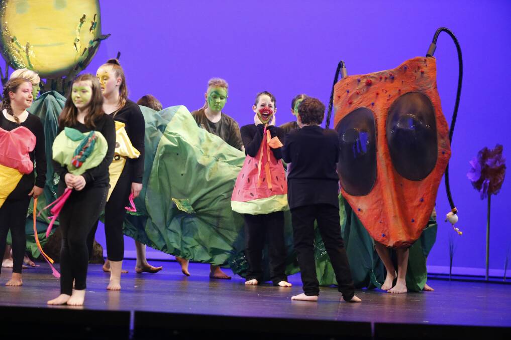 CHALLENGE: Students from Tanilba Bay Public School perform 'The Very Hungry Caterpillar' to win the Newcastle heat of the Wakakirri Story-Dance Challenge. Picture: Winkipop Media