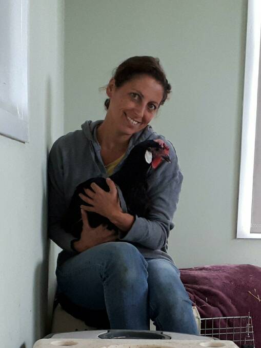 SAFE HAVEN: Ana Lopes of NSW Hen Rescue, with one of the rescued chooks, says dumping is increasing. 