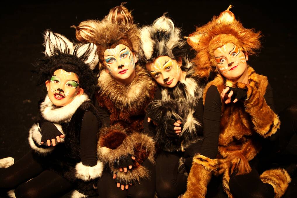 KITTENS: Esther Leung, left to right, Hugh Beath, Hugo Sutherland and Abigail Goodsir play the kittens in the musical Cats. 