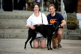 Brianna and John Digby with their new family member Lenny, the first dog adopted at the 2024 National Adoption Day. Picture Ross Schultz